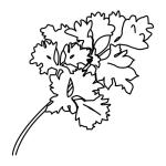 Arasaac 150-9850cce66dc4cdf4dcfd765d762ab22e