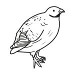 Arasaac 150-cce6b262ed95ea0cae05d517f689e696