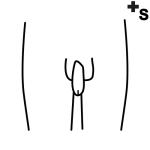 Arasaac 150-e1fa1cbd118519b4c385ecda0b271eba