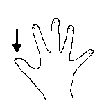 Arasaac 150-a6d128aa225d21aeb6b252733233fb8a