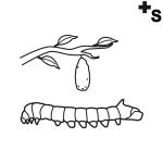 Arasaac 150-5597aff7c084d961abeb03ed47a4e6c