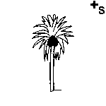 Arasaac 150-a344a1f189a703f48a085d4314439335