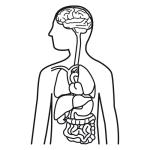 Arasaac 150-6918df52db3a9644f55783ac279895f1