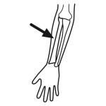 Arasaac 150-c9882e6a7975441408ecd681d7bcab4a