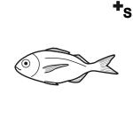 Arasaac 150-cc9c45c0fa3e853c3a292f8b88073dd4