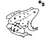 Arasaac 150-dc5c0a4335b703678393cf5dd048961d