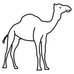 Arasaac 150-dead27fd25e0c11539a00cf55b96edf4