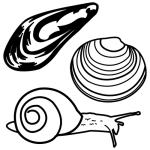 Arasaac 150-99ce054f3c12edc71eadc648aa440e9c