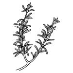 Arasaac 150-20e32b9248261df8ac88367885623696