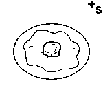 Arasaac 150-12ac3c77f9307c6e166efad7caaf92b8