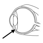 Arasaac 150-d483a6002f0361d682d9d444b66cac5f