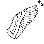 Arasaac 150-fafe99e34ad7592c70de6735e30e78f7