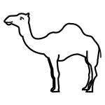 Arasaac 150-6fa17788f994621d1302071b1f728b0a