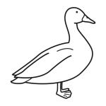 Arasaac 150-53a470c412e43b4bf667ea9ba248a7bf