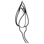 Arasaac 150-fc76055e0475af64bec4cb738435624