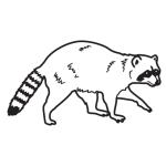 Arasaac 150-322055235ee65220ec9b782dc77ddc5c