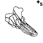 Arasaac 150-f172782c3f4460bb6189d90789f6ff Arasaac 150-f172782c3f4460bb6189d90789f6ff