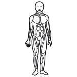 Arasaac 150-59af59807e0708a12eb32a574a191de6