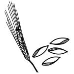 Arasaac 150-3e6975ec1b4d798e81752381409aa058