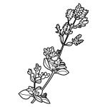 Arasaac 150-9227b97f06322c6d55ac30c1f0d0b92f