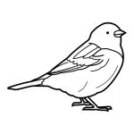 Arasaac 150-e37ca0fd4ca752d66832f0595f7bd3cf