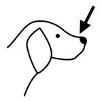 Arasaac 150-fa93ad08f024df537a7e0038f13aee10