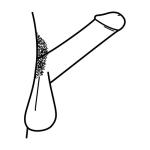 Arasaac 150-622b088e8ca7f447ee36639182b26641