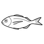 Arasaac 150-81bd1713112b9ea850077fa61688311b