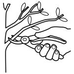 Arasaac 150-27292a2ff331b4de4b2de54f7e3f1c1a