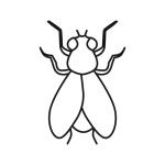 Arasaac 150-5f8860d23ed40253629951da21aa9830