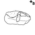 Arasaac 150-bf61335c4ed5d917eb7e5622964ec4b3