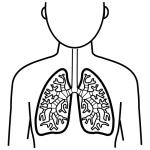 Arasaac 150-7ca32530dab8519e784cecca3eff4e64