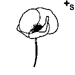 Arasaac 150-5ca7392666d76893586bad44a5eb9bde