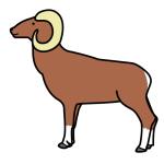 Arasaac 150-12f08e20a45b9e8dd5a713b4c84324e5