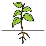 Arasaac 150-1b5830106d881de65dd45ee8831f1582