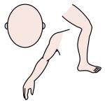 Arasaac 150-1c5b414ba8274e3e15953fc23638328c