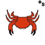 Arasaac 150-1eab7e49ff6b8da61959e6601696ad7c