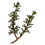 Arasaac 150-20e32b9248261df8ac88367885623696