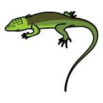 Arasaac 150-21ea9ff0b6f0722a087f0716278e5fc2