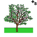 Arasaac 150-23288987c5d8d1fb3571f8e85ba58a8f