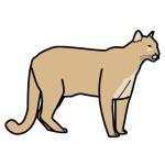 Arasaac 150-2b0d1897b7f2d923cf8a937392412ed0