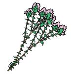 Arasaac 150-2d9ec5d1568a94784a4286ffd691b8dd