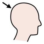 Arasaac 150-2db3a235499422ea182fe0acb07cb693