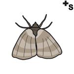 Arasaac 150-2e943ee1d02b98f76eab55d2c7138d6d