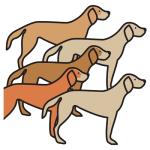 Arasaac 150-312eea54d81577be9eabf317c126072