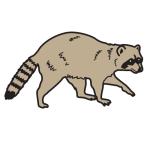 Arasaac 150-322055235ee65220ec9b782dc77ddc5c