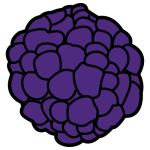 Arasaac 150-32f2fb28ceb394340fd060f7e7ff2cf0