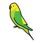 Arasaac 150-414678c2cfa0fc76df17995cc448529a