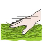 Arasaac 150-45ed450b99c11da11736aa00b7a2bbd1