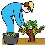 Arasaac 150-484fd7394bb853d02d314388515f8aab